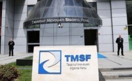TMSF bir şirketi daha satışa çıkardı